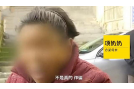 定兴债务清欠服务